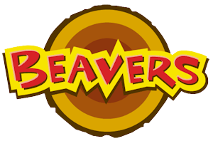 beavers scouts beaver